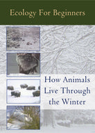 Ecology for Beginners:  How Animals Live Thru Winter