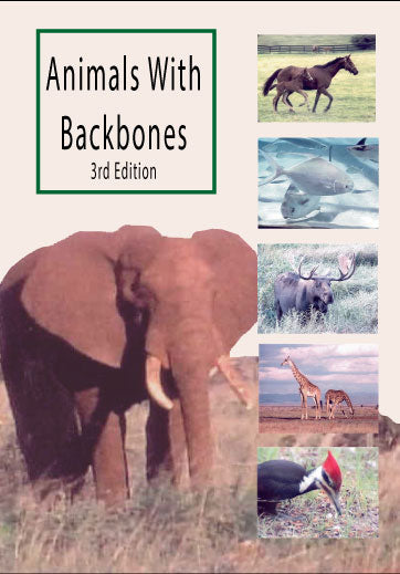 Animals With Backbones
