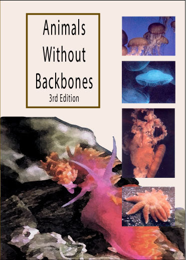 Animals Without Backbones