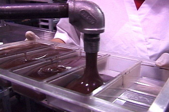 Farm to Market Chocolate