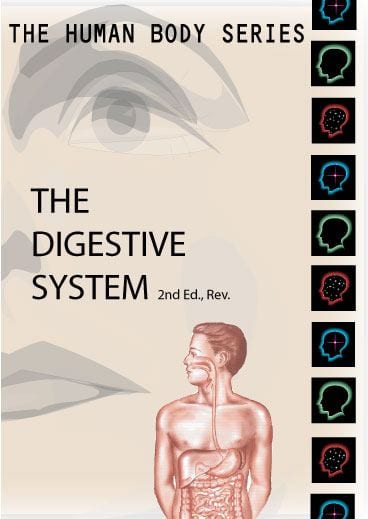 Human Body Series Digestive System