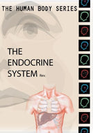 Human Body Series:  Endocrine System