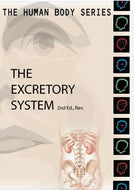 Human Body Series:  Excretory System