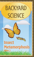 Backyard Science:  Insect Metamorphosis (REV)