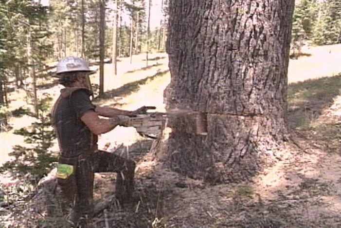 Farm To Market Lumber