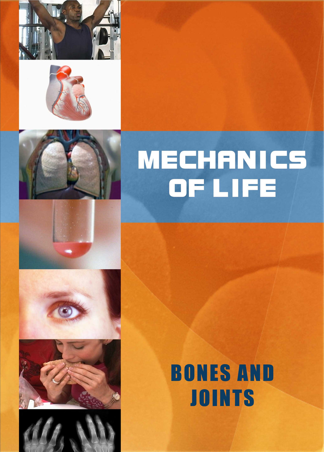 Mechanics of Life:  Bones and Joints