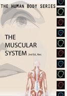 Human Body Series:  Muscular System