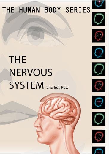 Human Body Series:  Nervous System