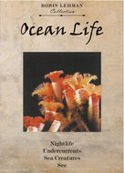 Robin Lehman's Ocean Life