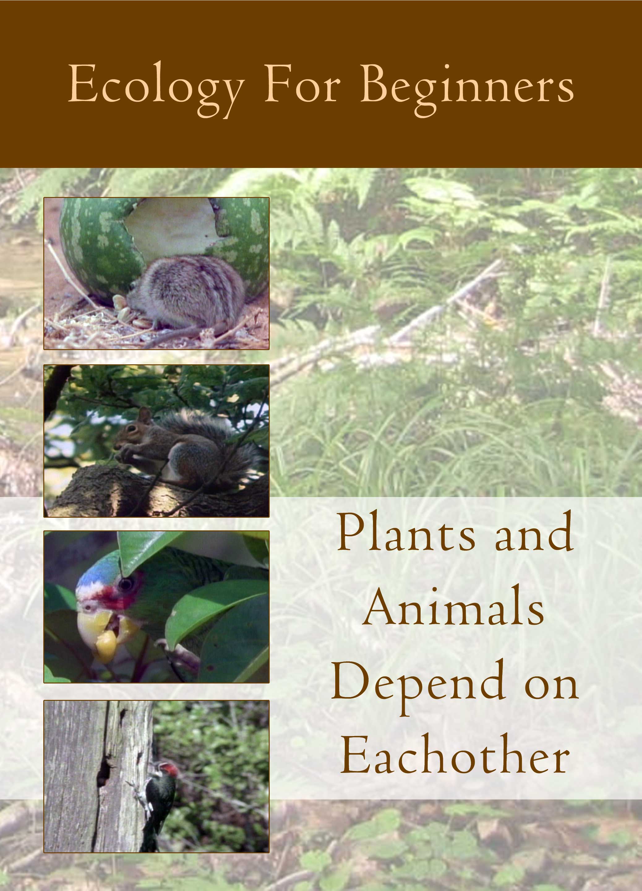 Ecology for Beginners:  Plants and Animals Depend on Each Other