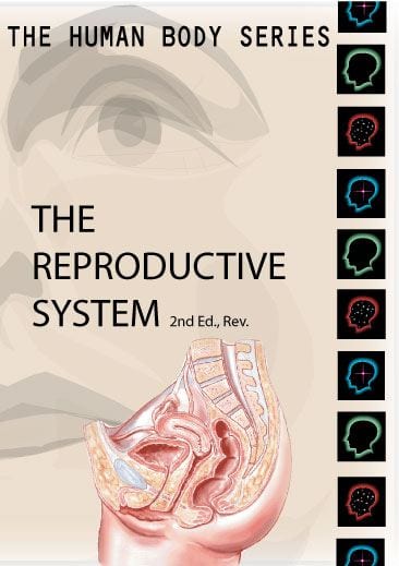 Human Body Series:  Reproductive System
