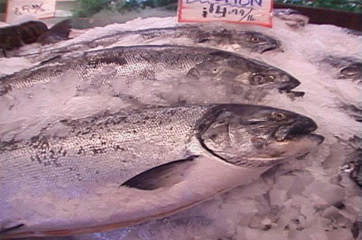 Farm to Market Seafood