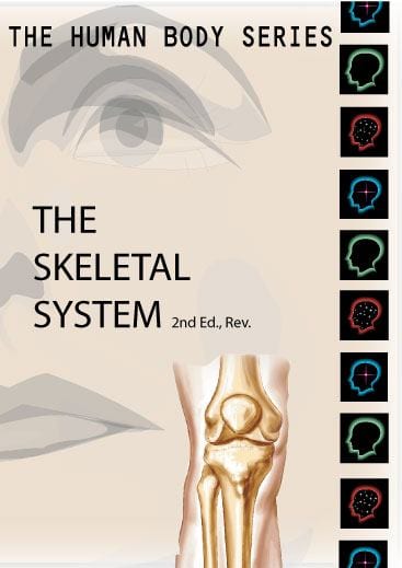 Human Body Series:  Skeletal System