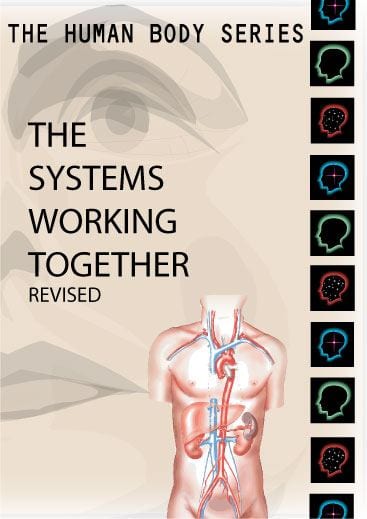 Human Body Series:  Systems Working Together