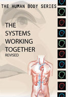 Human Body Series:  Systems Working Together