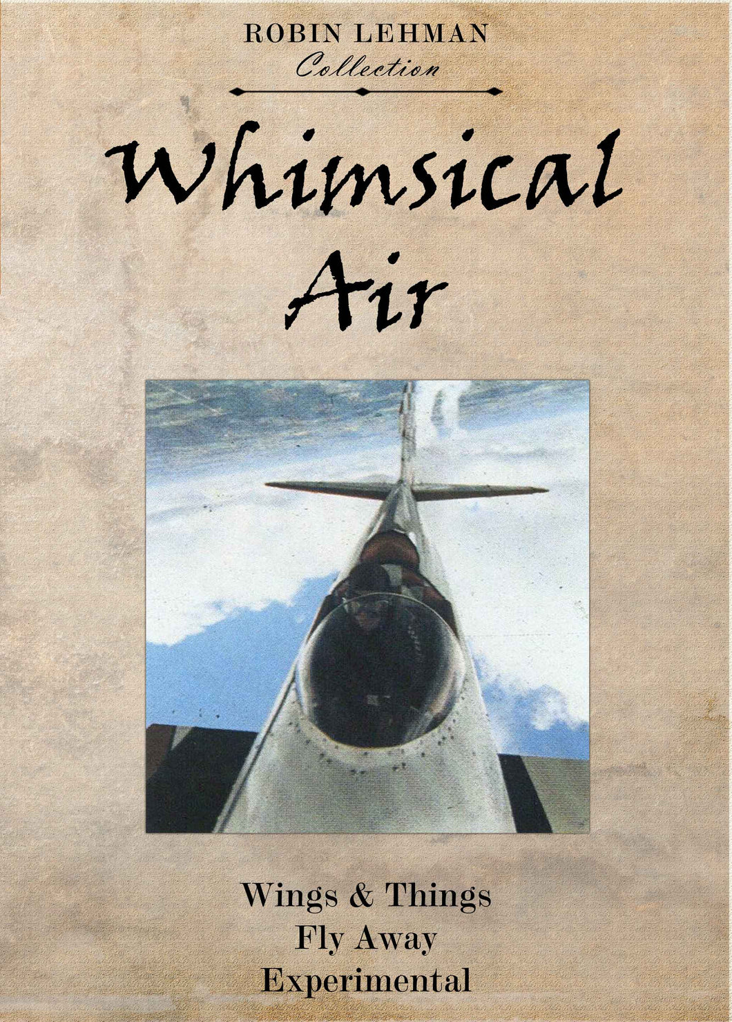 Robin Lehman's Whimsical Air