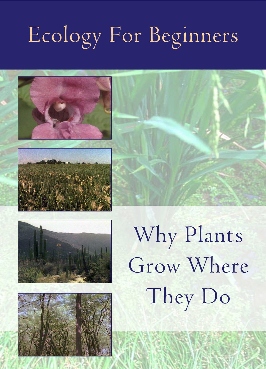 Ecology for Beginners:  Why Plants Grow Where They Do