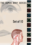 Human Body Series:  Set of 10