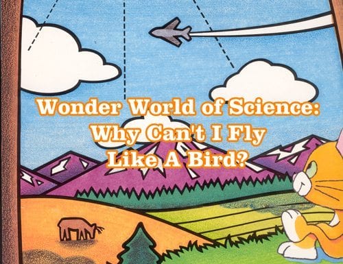 Wonder World of Science:  Why Can't I Fly Like A Bird?